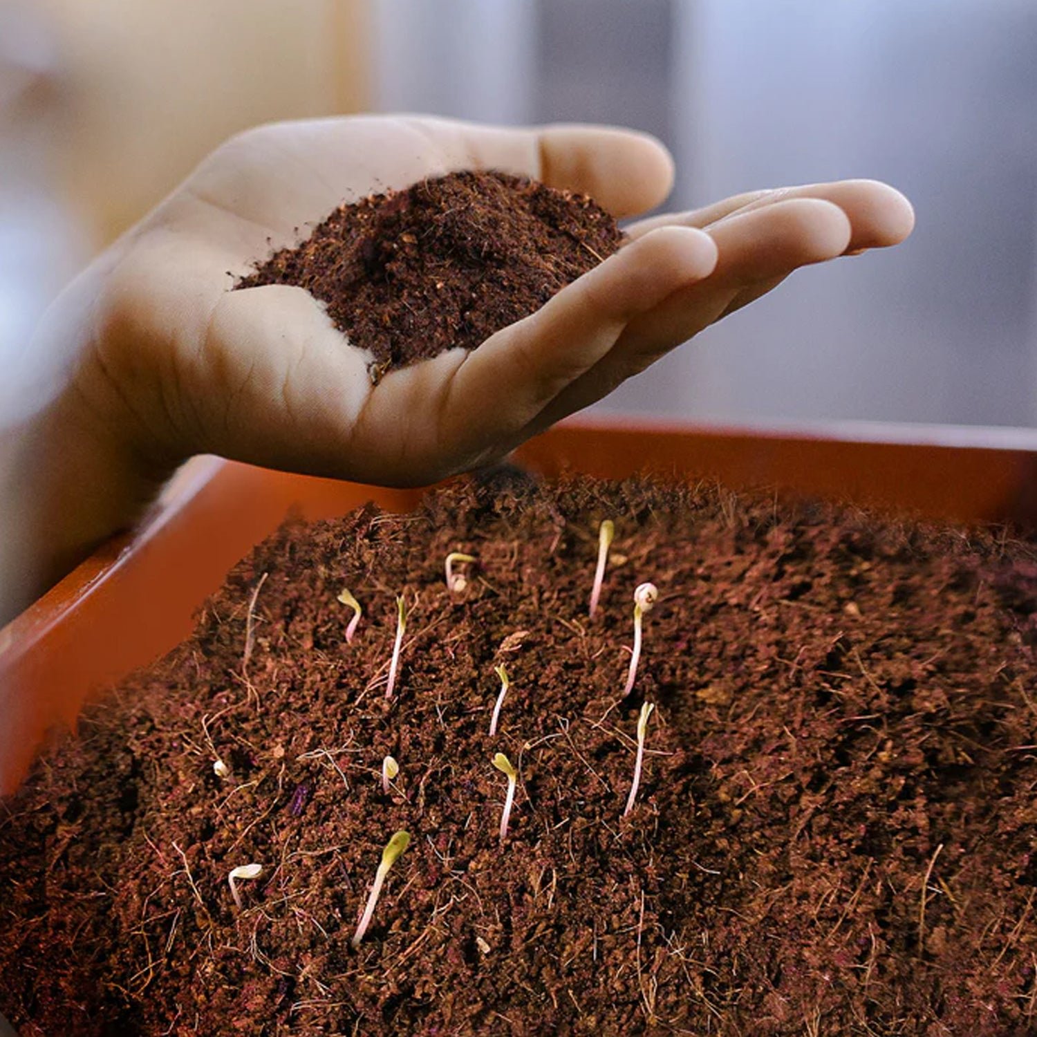 Cocopeat Block Organic Fertilizer & Potting Mixture for Home Gardening (1 KG)