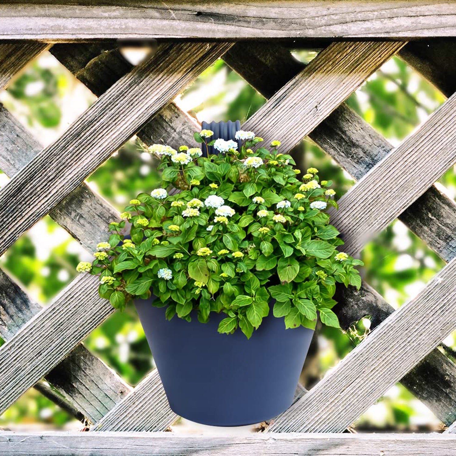 Hanging Planter Pot used for storing and holding plants