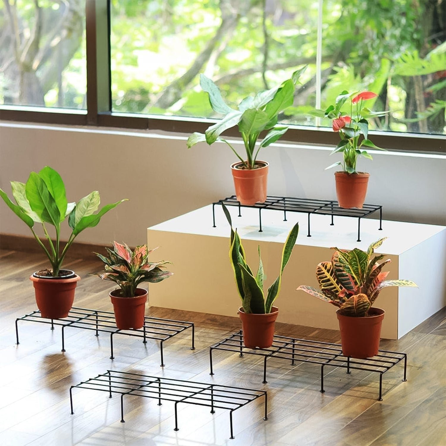 Metal Rectangle Flower plant stand for balcony (60×20 Cm / 2 Pc Set)