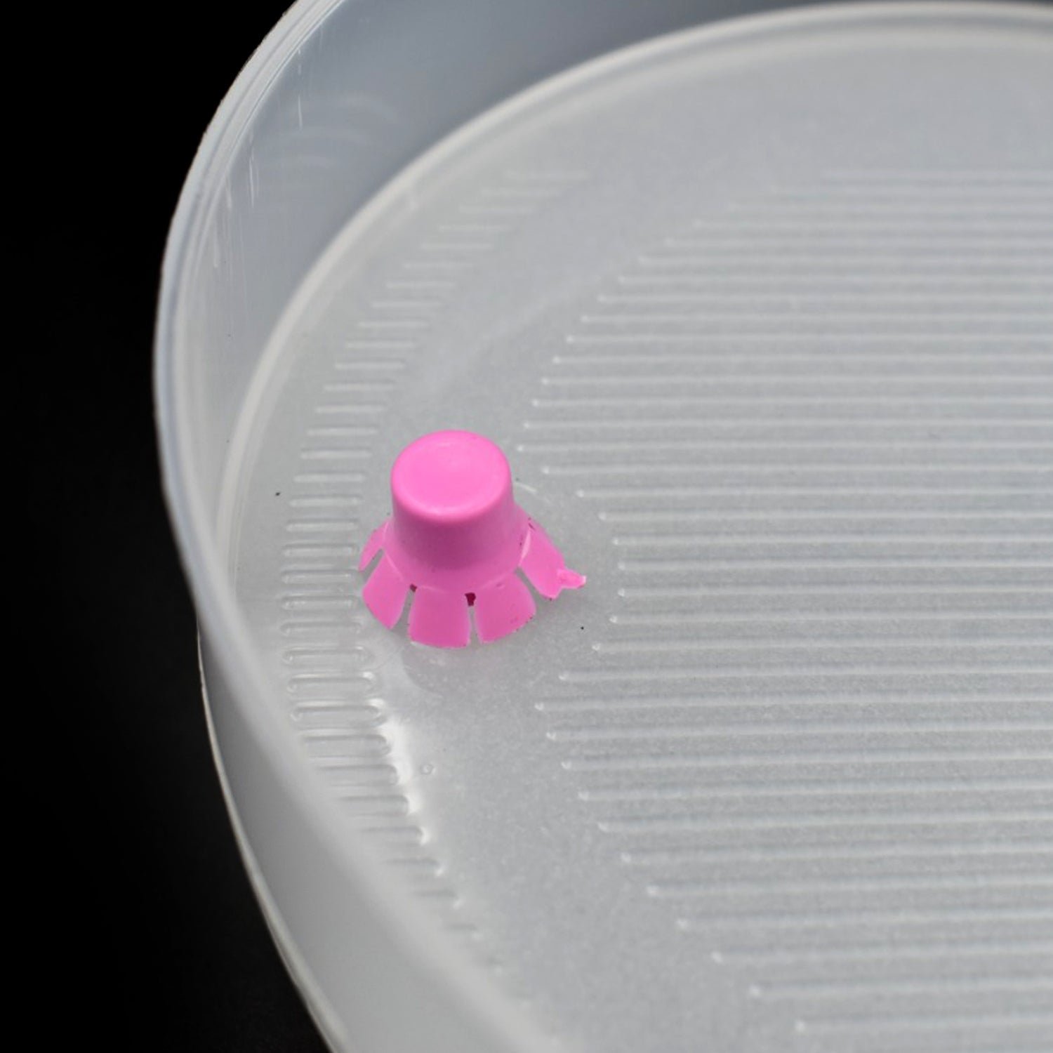 Sprout Maker 4 Layer for Household and Kitchen Use