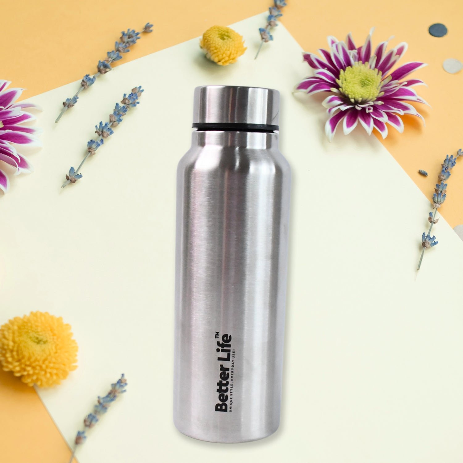 Stainless Steel Drink Water Bottle (750 ML)