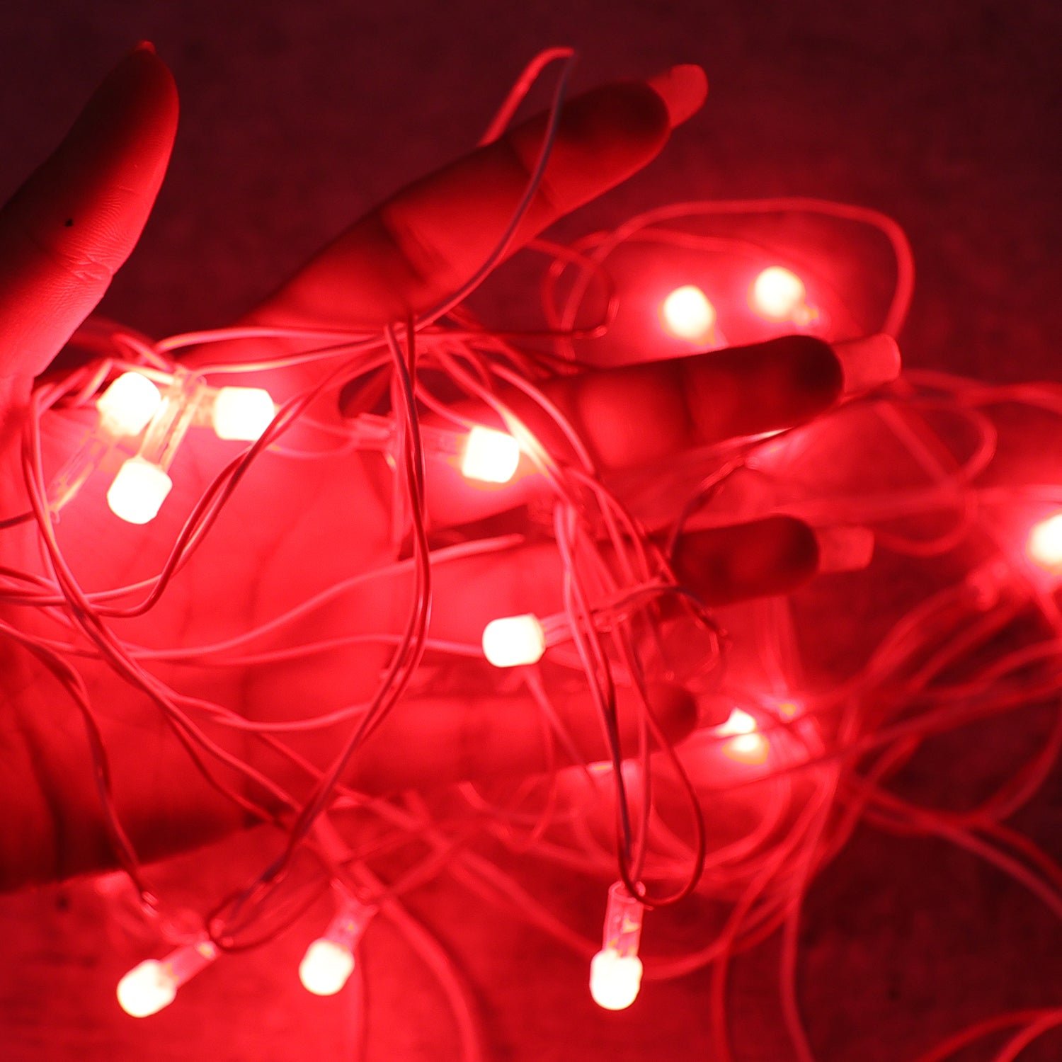 LED Decorative String Fairy Lights (10 Meter)