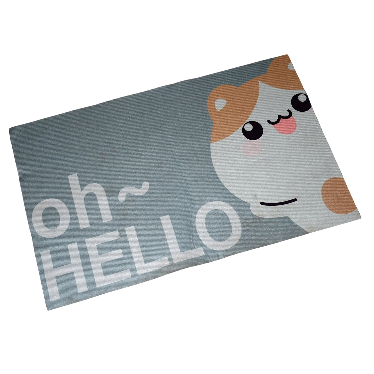 Square Bathroom mat Water Door Mat   for Home, Kitchen (59×40) (Mix Design)