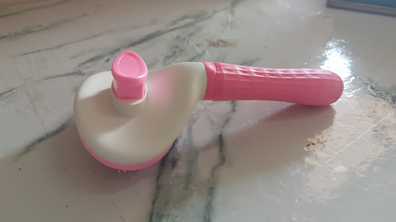 Self-Cleaning Slicker Brush for Dogs & Cats (1 Pc)