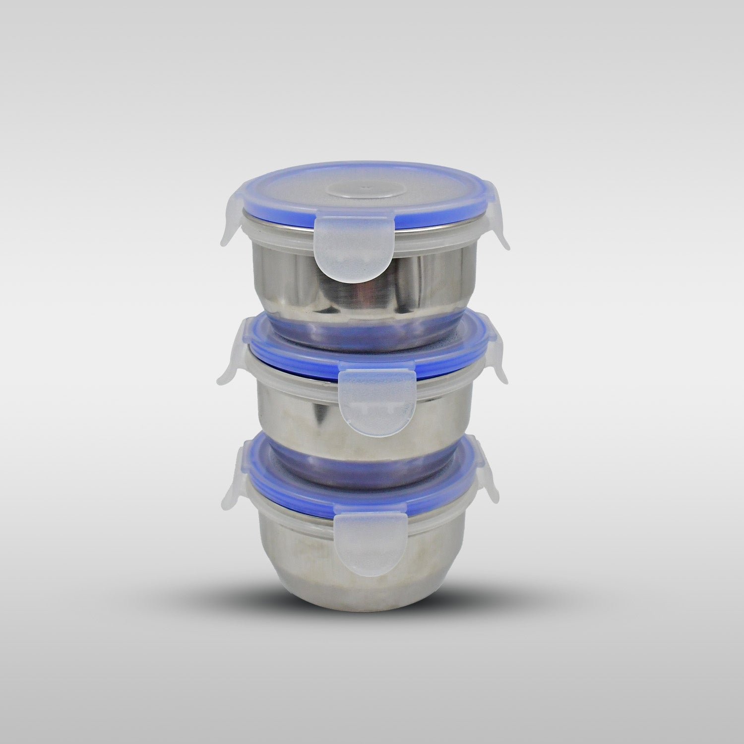 Stainless Steel Lunch Box - Multi-Compartment Airtight Container for Office