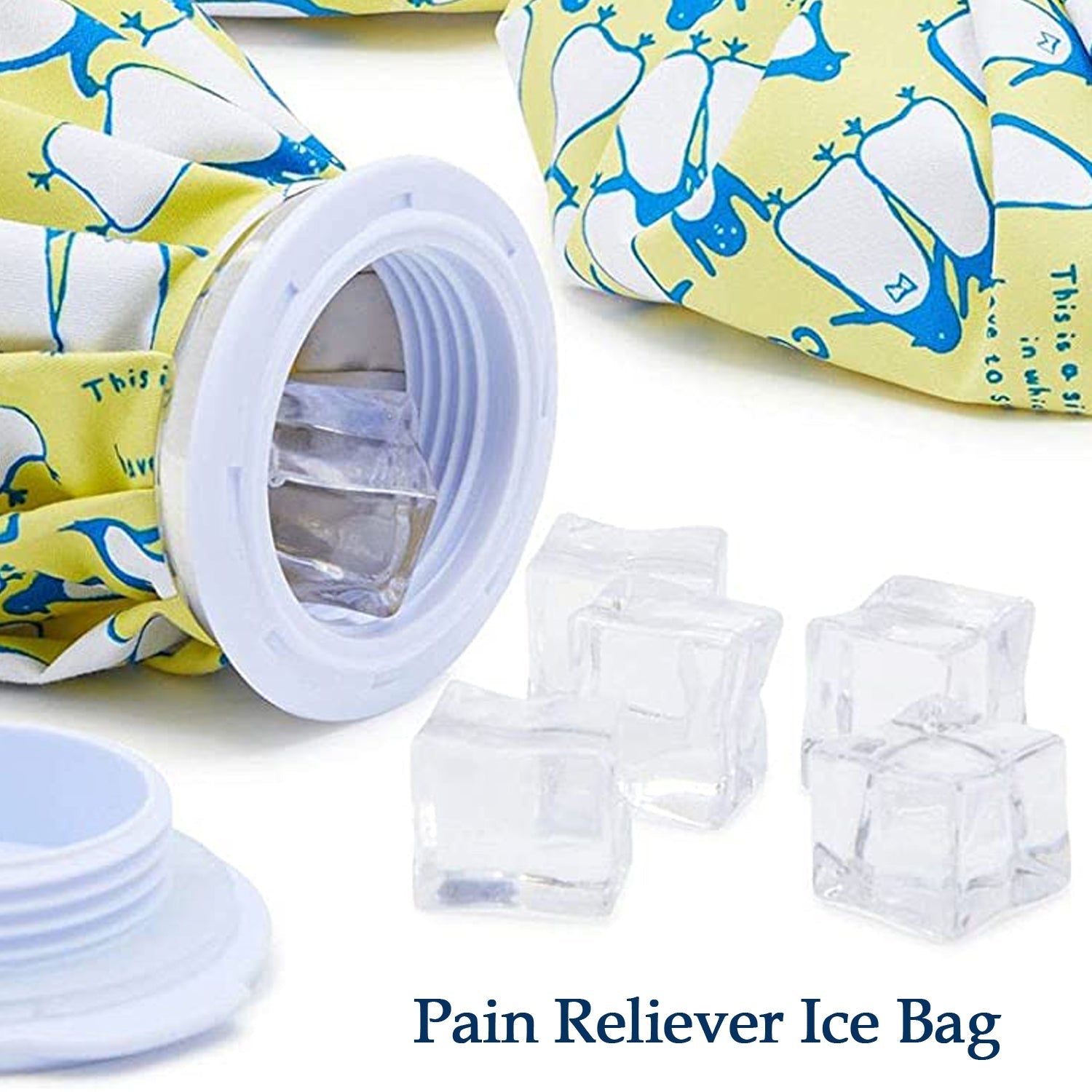 Pain Reliever Ice Bag Used To Overcome Joints And Muscles Pain In The Body.