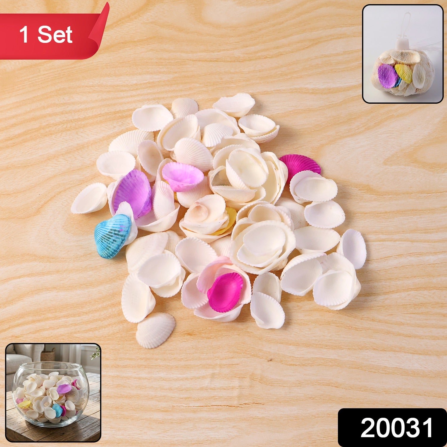 Decorative Seashells Set  (1 Set)