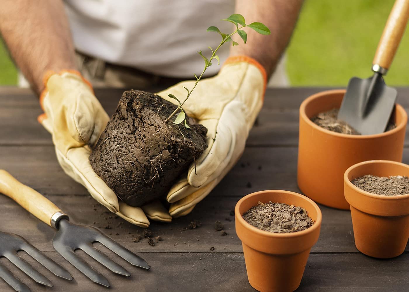 #1 Gardening Tool Set 4 Pcs – Pruner Shears, Hand Cultivator, Trowel & Fork with Wooden Handle for Planting, Weeding, Pruning & Soil Maintenance, Farming Equipment & Essential Garden Kit