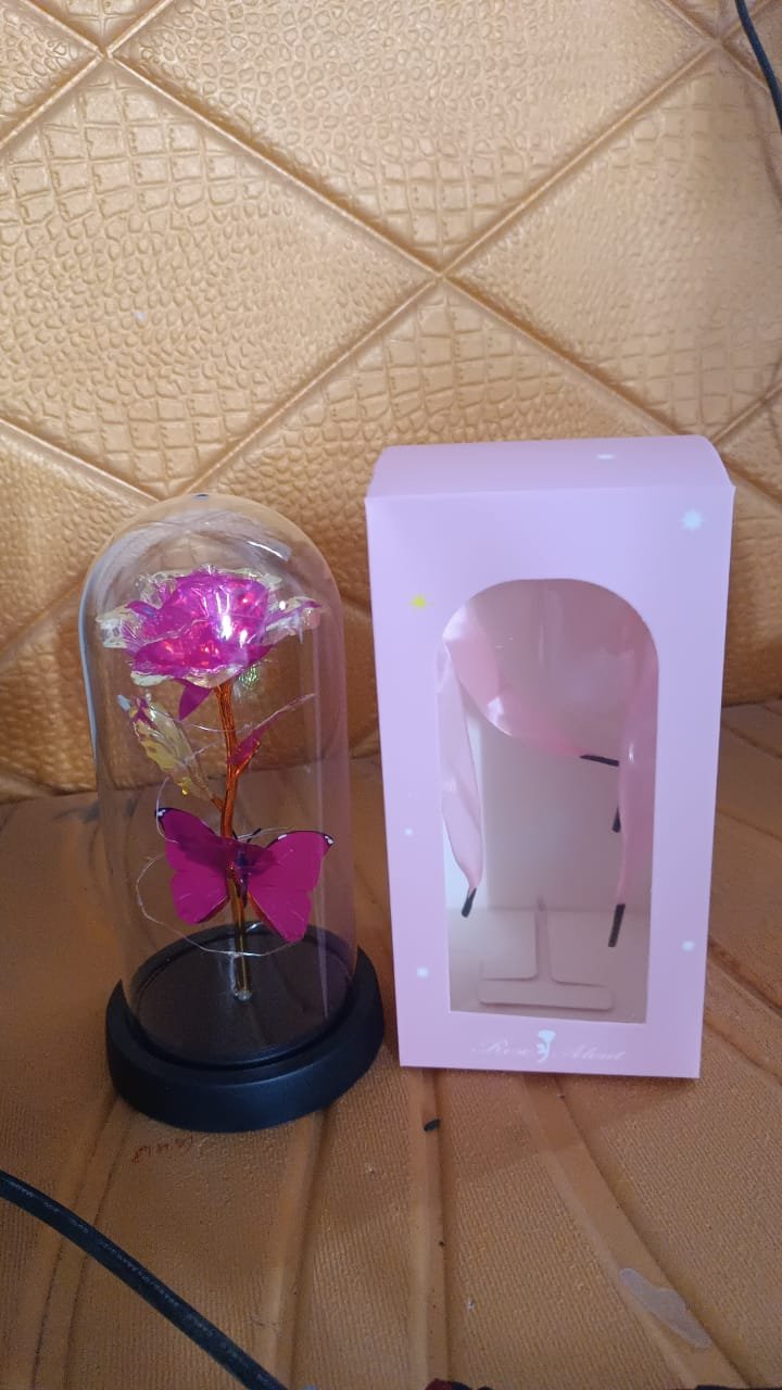 LED Decorative Rose with Butterfly in Transparent Plastic Dome (1 Pc)