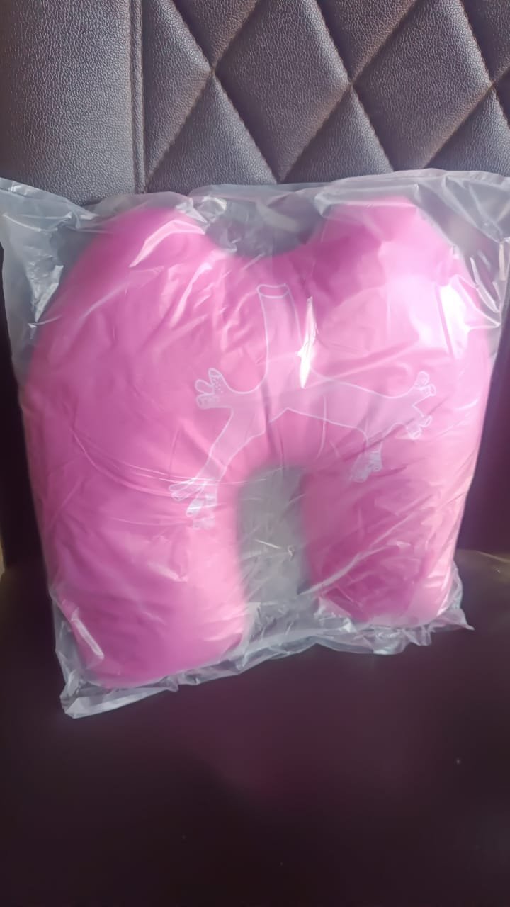 U-Shape Neck Travel Pillow (1 Pc)
