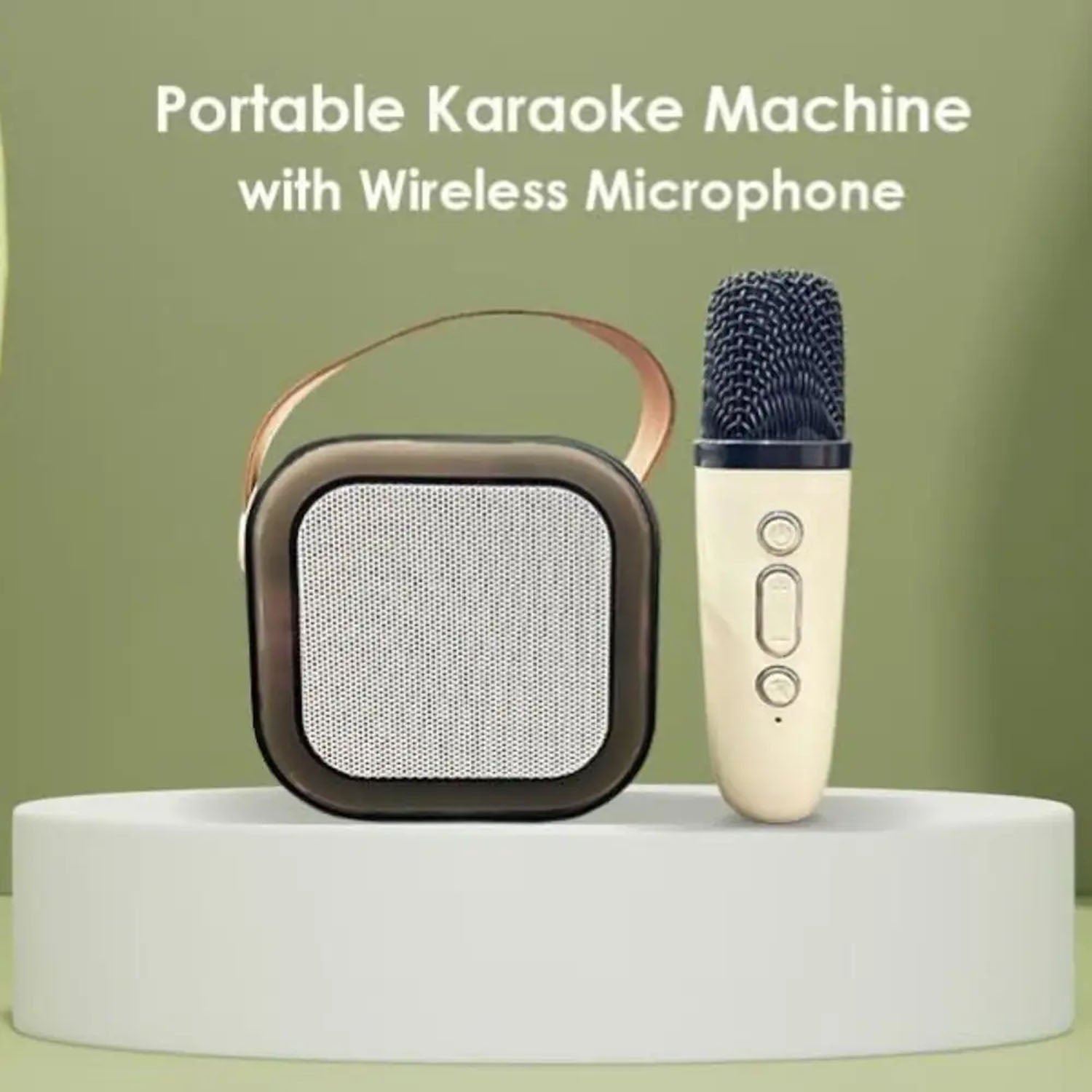 B Grade Portable Karaoke Speaker (1 Set)