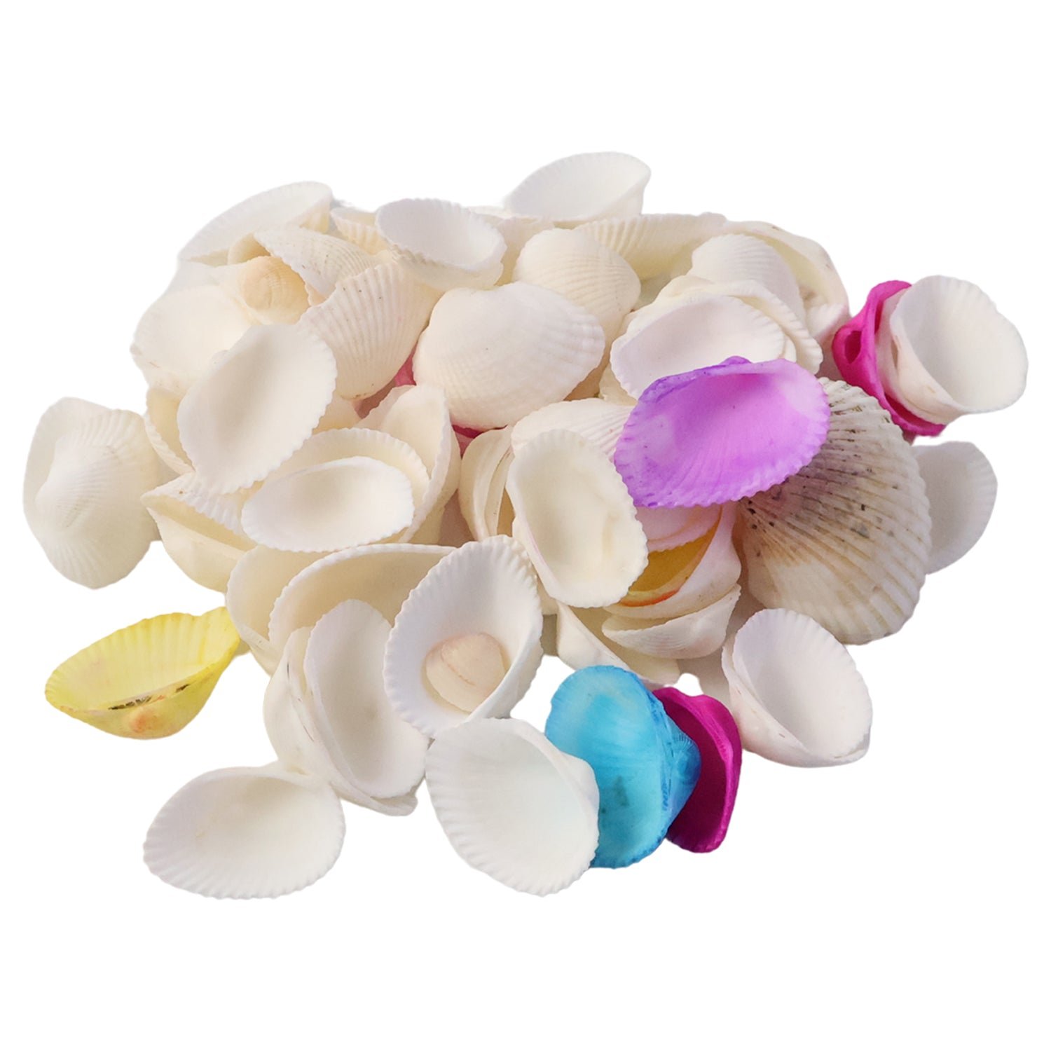 Decorative Seashells Set  (1 Set)