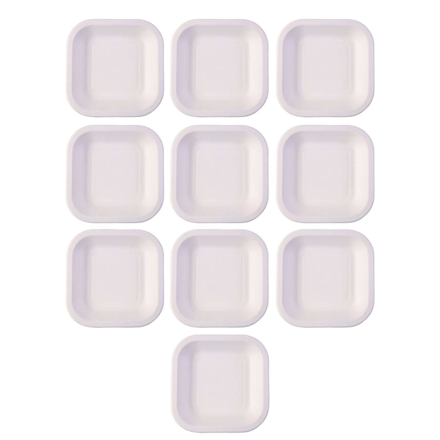 Disposable Square Food Serving Tray Set (10 Pc)