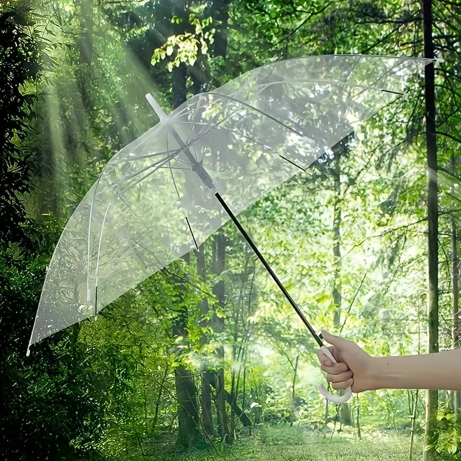 Premium Transparent Dome Umbrella with Curved Handle (1 Pc)