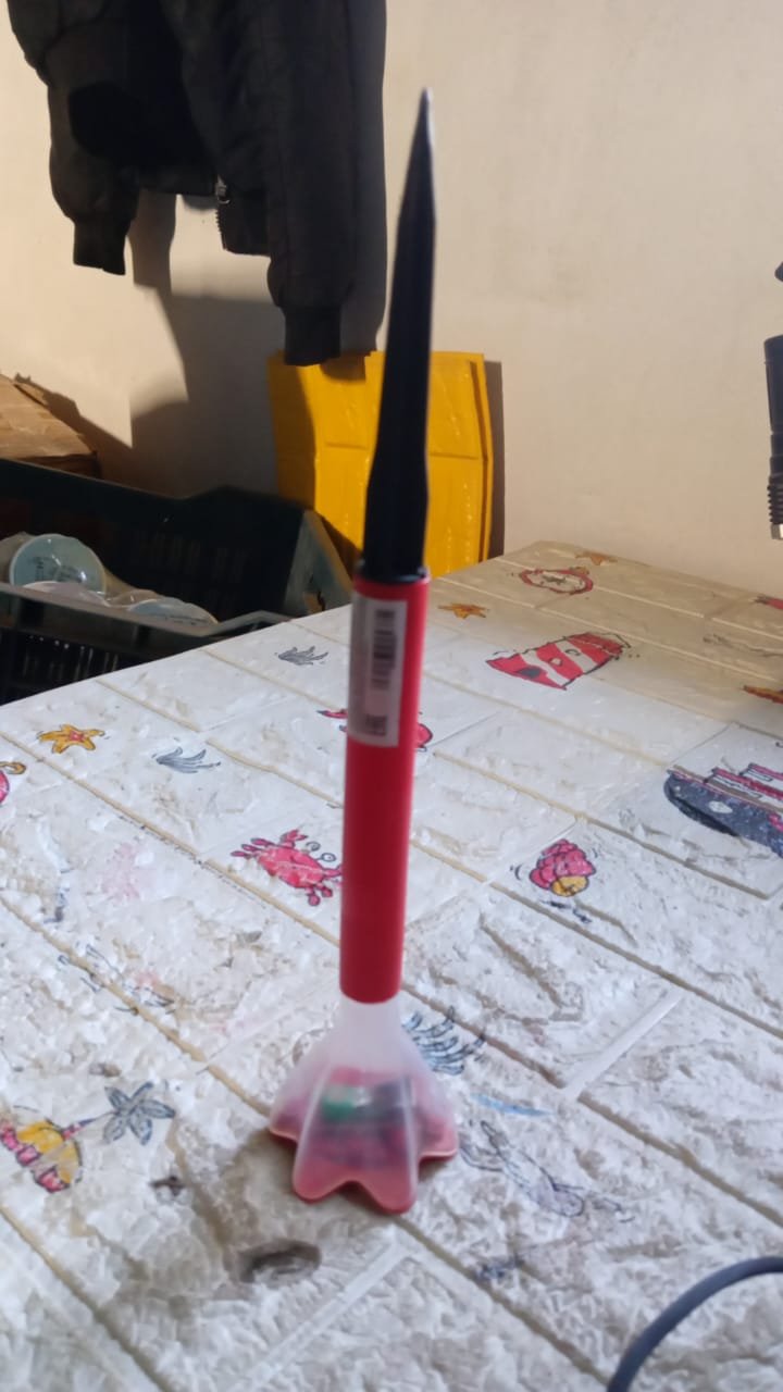 Solar Flower Garden Lights – Outdoor Decorative LED Lamp (2 Pc)