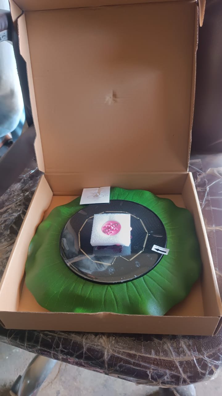 Decorative Solar-Powered Floating Water Fountain Pump